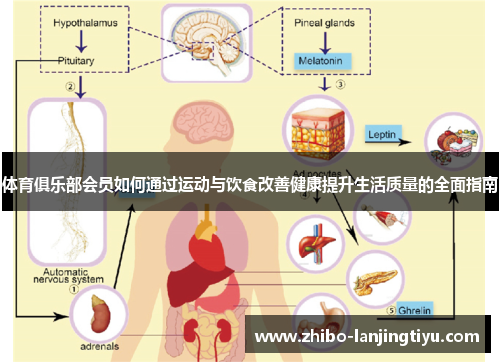 体育俱乐部会员如何通过运动与饮食改善健康提升生活质量的全面指南