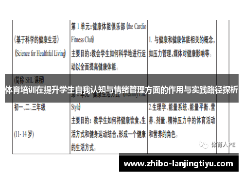 体育培训在提升学生自我认知与情绪管理方面的作用与实践路径探析